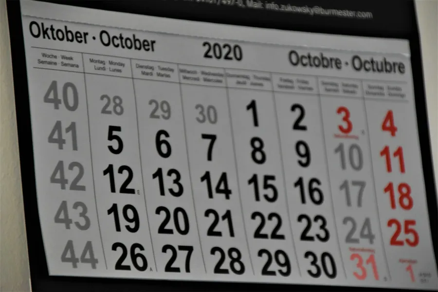 Illustration for Months 6 to 0: Health, Insurance, and Launch