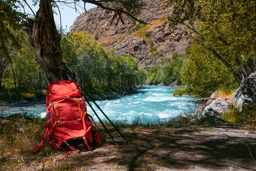 Illustration for Straps, Setup, and Where Hammock Camping Is Allowed