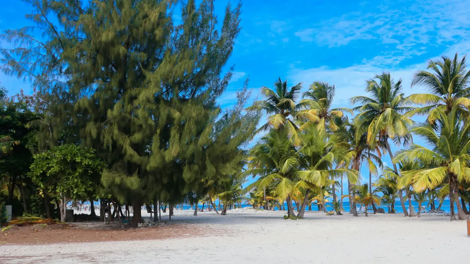 Tropical Disease Prevention for Travellers