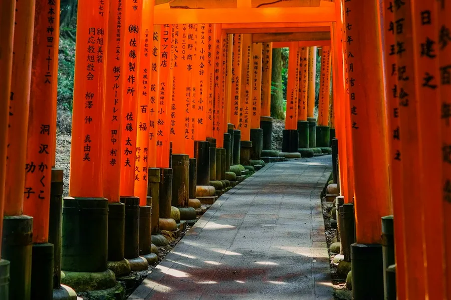 Fushimi Inari torii gates in golden light